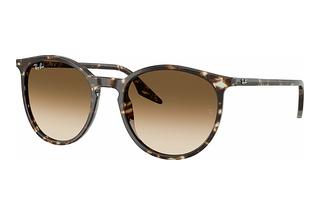 Ray-Ban RB2204 143151 Clear Gradient BrownHavana Yellow Turtle