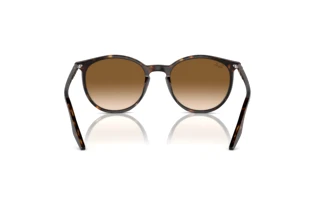 Vista posterior Ray-Ban RB2204 (902/51)