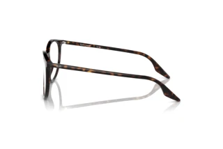 Vista lateral Ray-Ban RB2204 (902/GJ)