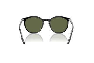 Vista posterior Ray-Ban RB2204 (919/58)