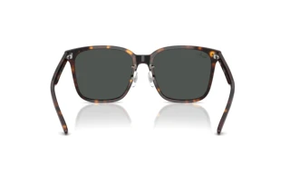 Vista posterior Ray-Ban RB2206D (710/87)