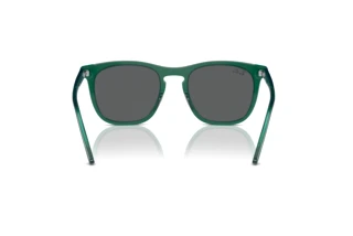 Vista posterior Ray-Ban RB2210 (6615B1)