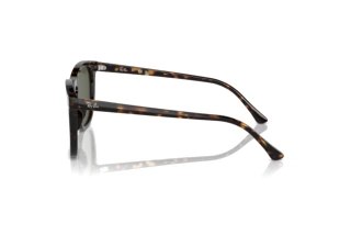Vista lateral Ray-Ban RB2210 (902/31)