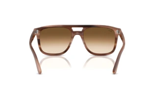 Vista posterior Ray-Ban RB2213 (142351)