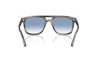 Vista posterior Ray-Ban RB2213 (14243F)
