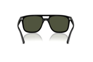 Vista posterior Ray-Ban RB2213 (901/31)