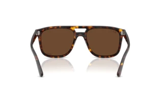 Vista posterior Ray-Ban RB2213CH (902/AN)