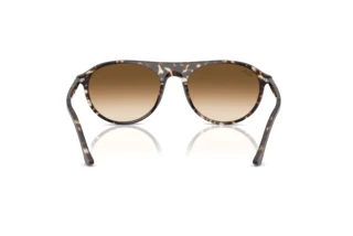 Vista posterior Ray-Ban RB2215 (143151)
