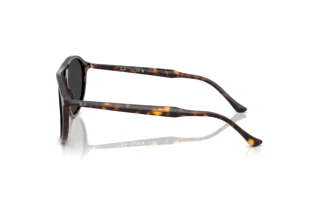 Vista lateral Ray-Ban RB2215 (902/48)