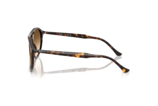 Vista lateral Ray-Ban RB2215 (902/51)