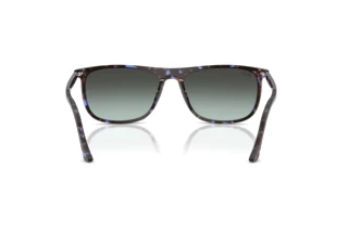 Vista posterior Ray-Ban RB2216 (1430GK)