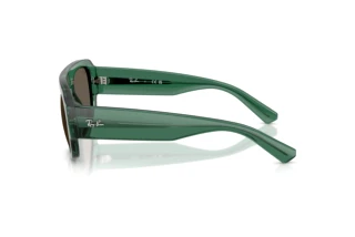 Vista lateral Ray-Ban RB2218 (6681/3)
