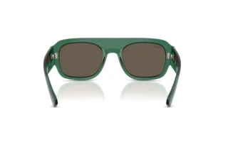 Vista posterior Ray-Ban RB2218 (6681/3)