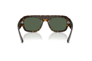 Изглед отзад Ray-Ban RB2218 (679071)