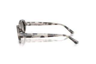 [glasses-side-view] Ray-Ban RB2223 (144832)