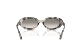 [glasses-back-view] Ray-Ban RB2223 (144832)