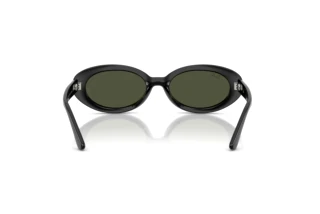 [glasses-back-view] Ray-Ban RB2223 (901/31)