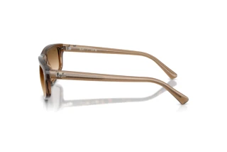 [glasses-side-view] Ray-Ban RB2225 (664051)
