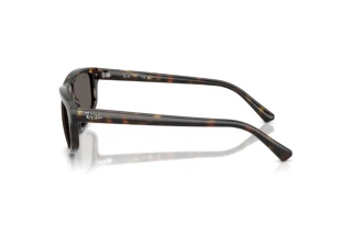 [glasses-side-view] Ray-Ban RB2225 (710/B1)