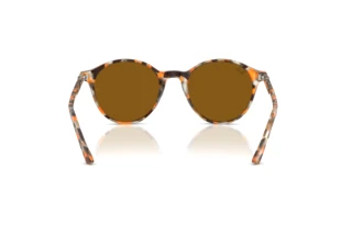 [glasses-back-view] Ray-Ban RB2230 (135733)