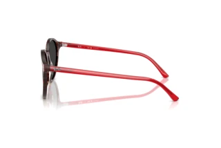 Vista lateral Ray-Ban BERNARD (RB2230 - 141948)