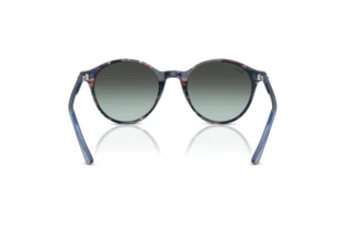 [glasses-back-view] Ray-Ban BERNARD (RB2230 - 1420GK)