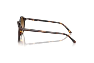 Vista lateral Ray-Ban BERNARD (RB2230 - 902/51)