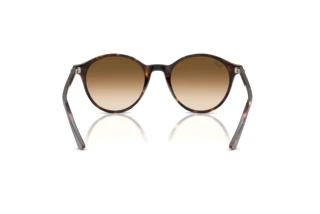 Vista posterior Ray-Ban BERNARD (RB2230 - 902/51)