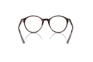 [glasses-back-view] Ray-Ban BERNARD (RB2230 - 902/GH)