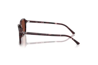 Vista lateral Ray-Ban RAIMOND (RB2231 - 1416C5)