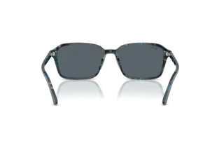 Vista posterior Ray-Ban RAIMOND (RB2231 - 1417R5)