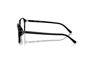 [glasses-side-view] Ray-Ban RAIMOND (RB2231 - 901/GG)