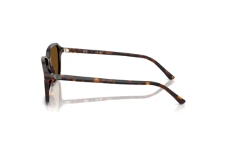 Vista lateral Ray-Ban RAIMOND (RB2231 - 902/57)