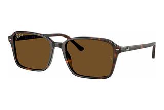 Ray-Ban RB2231 902/57 B-15 BrownHavana