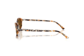 [glasses-side-view] Ray-Ban RB2232 (135757)