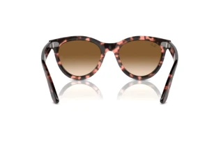 Vista posterior Ray-Ban WAYFARER WAY (RB2241 - 133451)