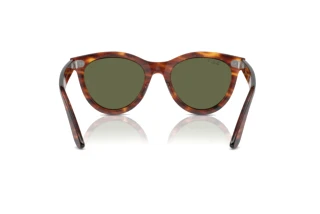Vista posterior Ray-Ban WAYFARER WAY (RB2241 - 954/58)