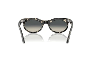 Vista posterior Ray-Ban WAYFARER OVAL (RB2242 - 133371)