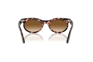 [glasses-back-view] Ray-Ban WAYFARER OVAL (RB2242 - 133451)