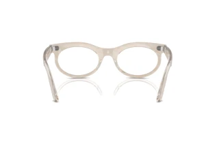 Vista posterior Ray-Ban WAYFARER OVAL (RB2242 - 1383GG)