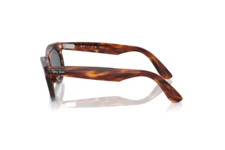 [glasses-side-view] Ray-Ban WAYFARER OVAL (RB2242 - 954/3R)