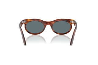 [glasses-back-view] Ray-Ban WAYFARER OVAL (RB2242 - 954/3R)