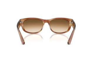 Vista posterior Ray-Ban MEGA BALORAMA (RB2289 - 140351)