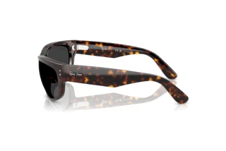 Sidovy Ray-Ban MEGA BALORAMA (RB2289 - 902/48)