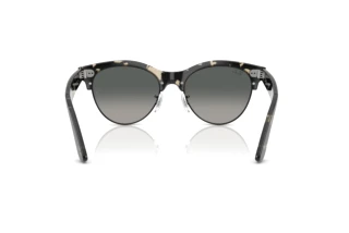 Vista posterior Ray-Ban CLUBMASTER WAY (RB2341 - 143371)