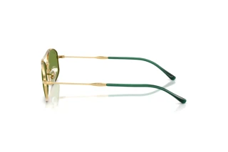 Sidovy Ray-Ban RB3719 (001/4E)