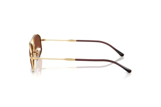 Sidovy Ray-Ban RB3719 (001/C5)