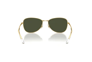 Vista posterior Ray-Ban RB3733 (001/31)