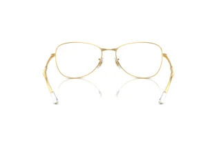 [glasses-back-view] Ray-Ban RB3733 (001/GH)