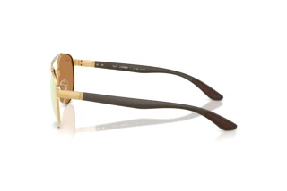 Sidovy Ray-Ban RB3736CH (001/I0)